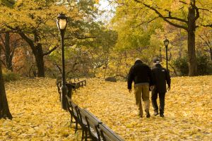 autumn-in-new-york-4-917237-m.jpg