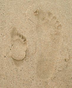 footprints-1053161-m.jpg